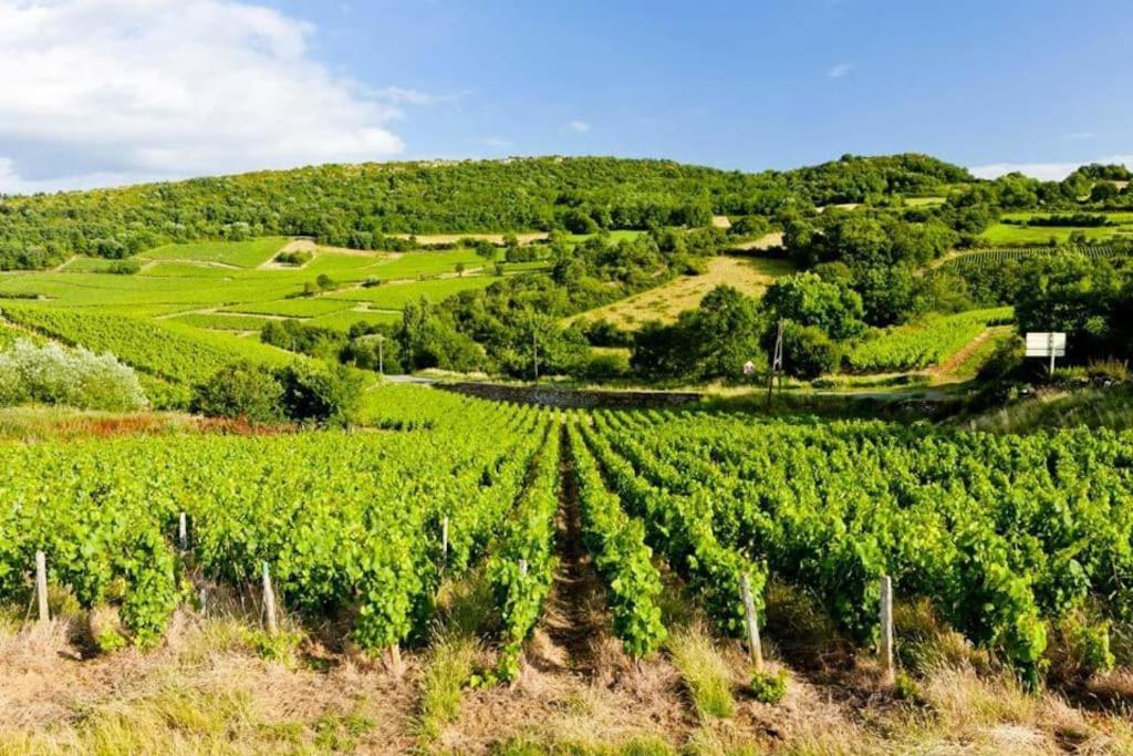 Le Chardonnay - Locationtournus Apartman Kültér fotó